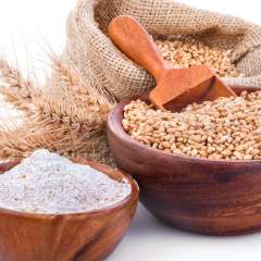 wheat berries and flour