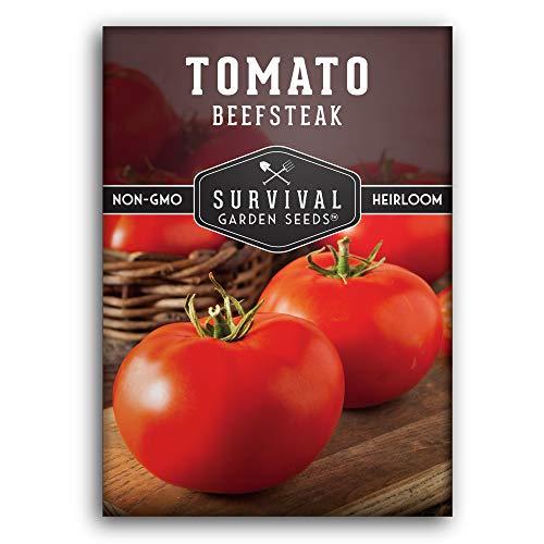 Seed Needs, True Beefsteak Tomato Seeds - 80 Heirloom Seeds for Planting  Lycopersicon esculentum - Non-GMO & Untreated Indeterminate Variety to  Plant