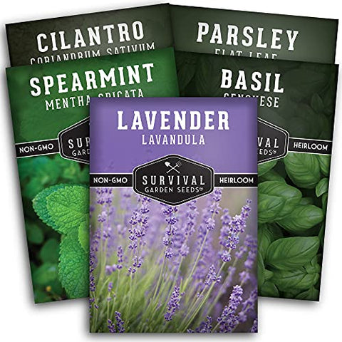 Bentley Seed Medicinal Herbs Starter Kit – Non-GMO Seeds for Indoor  Planting - Heirloom Seed Packets - Individual Packets for Chamomile,  Lavender