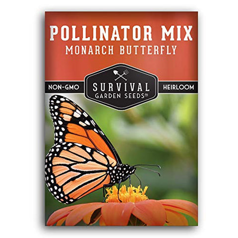 Plant Milkweed! Holiday Monarch Butterfly Kit by Cetalingua Project —  Kickstarter