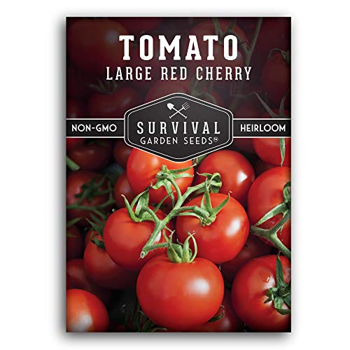 Brandywine Red Tomato Seeds for Planting - SurvivalGardenSeeds