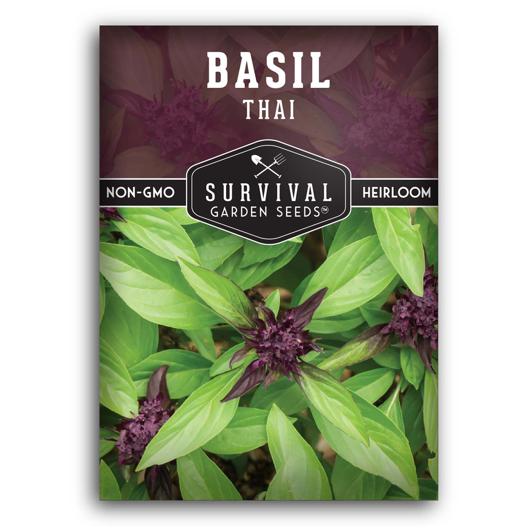 Culinary Mix Basil Seeds for Planting SurvivalGardenSeeds