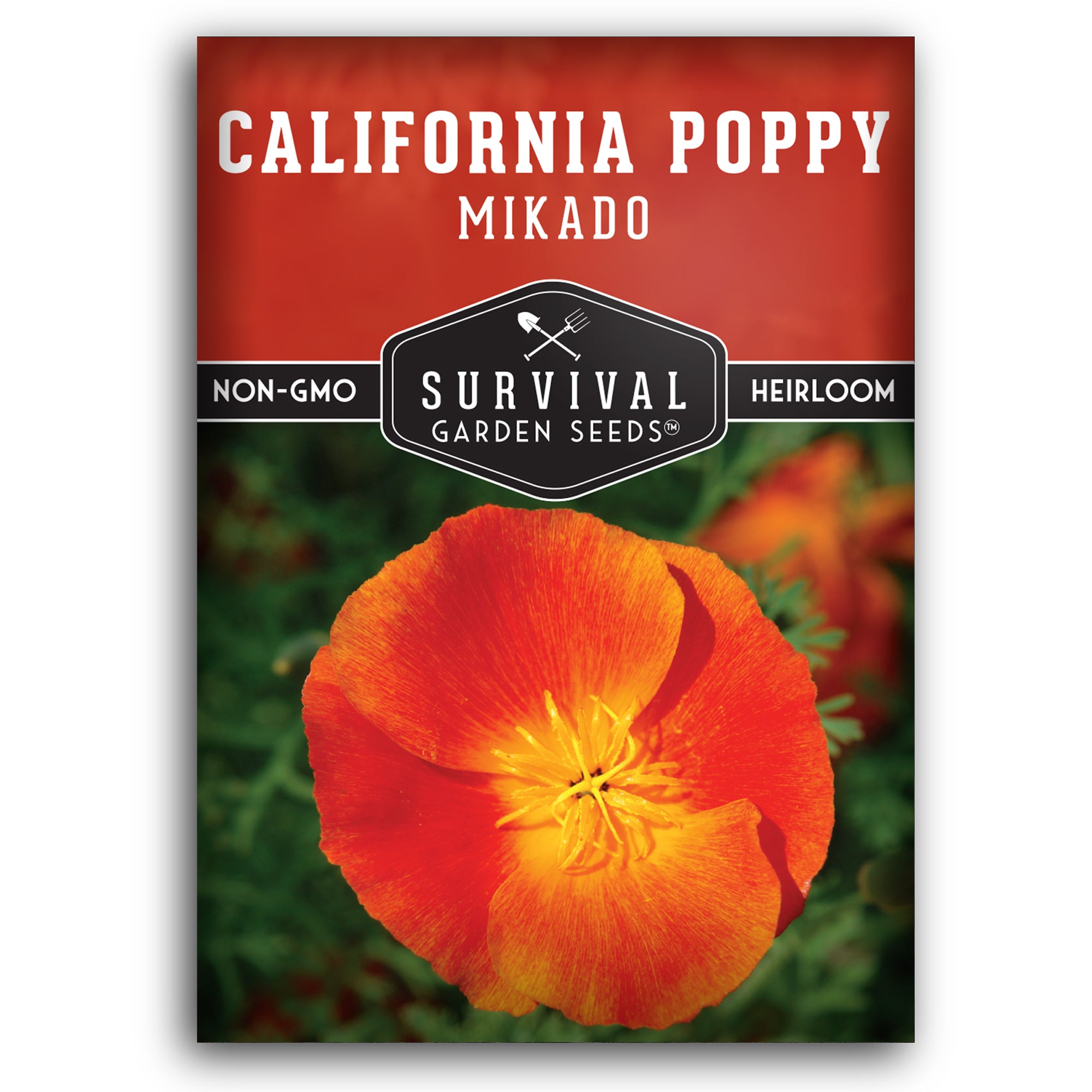 Red Corn - Flanders - Poppy Seeds - SurvivalGardenSeeds