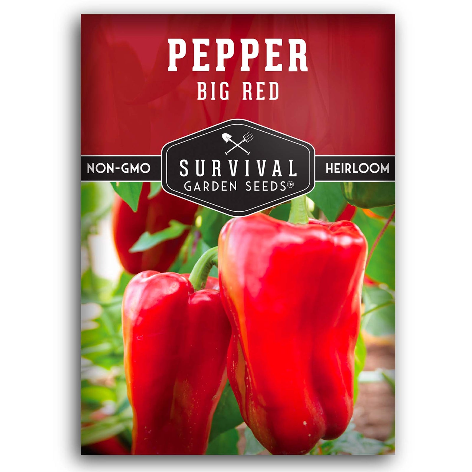 Small Red Hot Chili Pepper Seeds for Sale