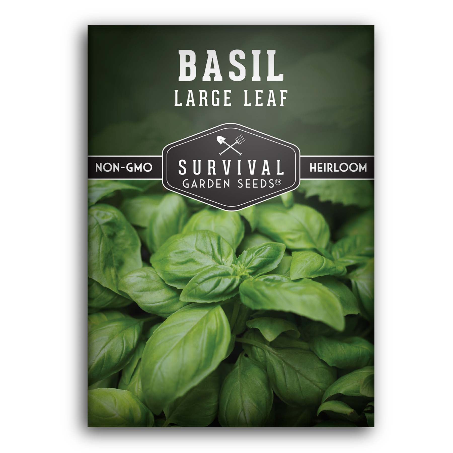 Holy Basil Seeds for Planting SurvivalGardenSeeds