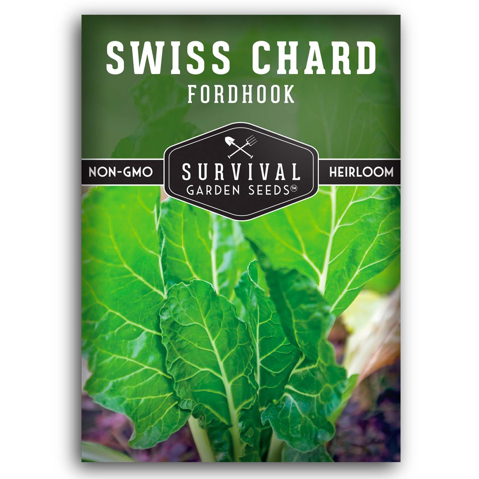 Ruby Red Rhubarb Swiss Chard Seeds – Heirloom Untreated NON-GMO From Canada  – The Incredible Seed Company Ltd