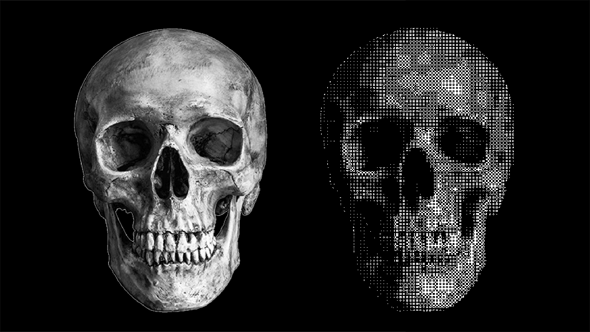 [Image: pf-3ba3c3d9--SkullBeforeAfter.png?v=1592237917]