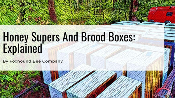 Honey Supers and Brood Boxes: Explained