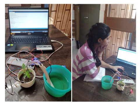 Making a plant weather monitoring system DIY experiment