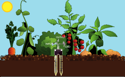 Soil Moisture Sensor