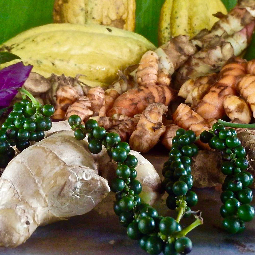 Inflammation-fighting turmeric (center) and ginger (foreground), harvested at Finca Luna Nueva in Costa Rica, a regenerative rainforest farm. Up to 20 species grow per square meter, creating biodiversity that helps restore the native ecosystem.