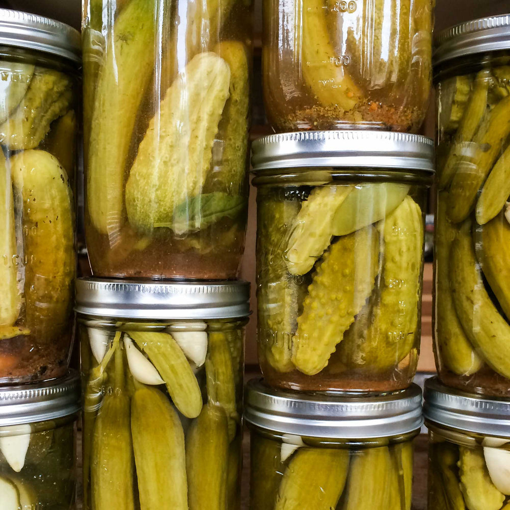 A season’s worth of pickles. Fieldbrook, CA.