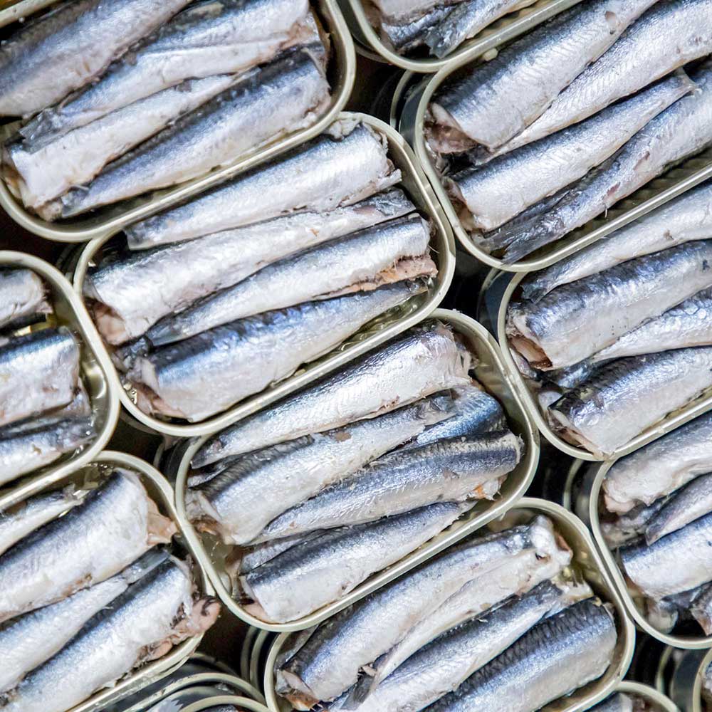 Most multivitamins come in pill or capsule form. Ours arrive naturally, in tasty, responsibly harvested anchovies. Vilanova de Arousa, Spain. Photo by Carol Studio