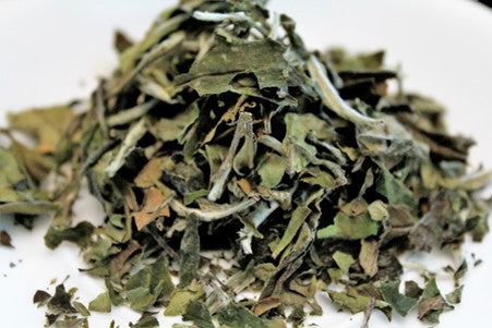 loose leaf green tea leaves