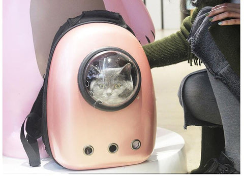 Cat Bubble Carrier Backpack With Window