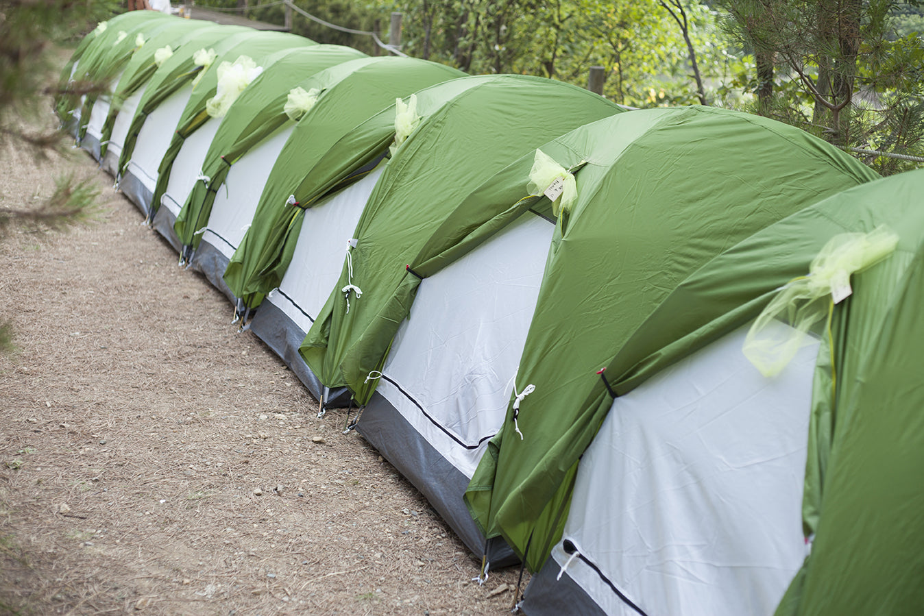 Una fila di tende verdi da campeggio allestite per il pernottamento degli ospiti di un matrimonio nel verde