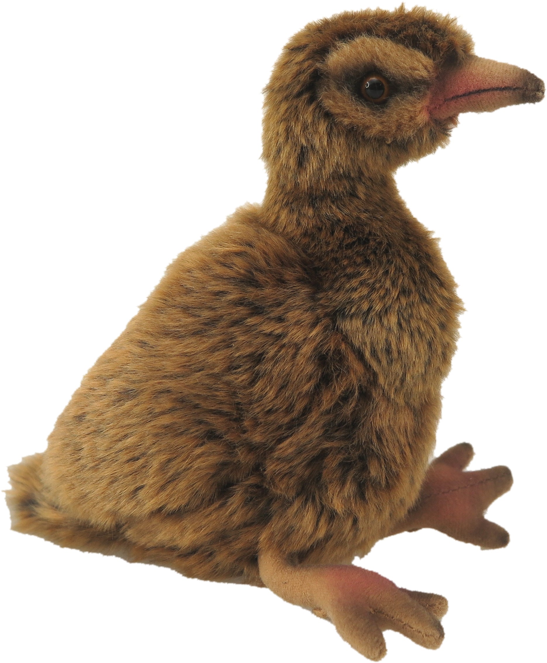 weka for mac