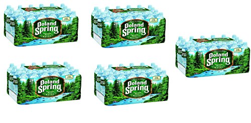 Poland Spring Brand 100% Natural Spring Water, 16.9 oz Plastic Bottles  (Pack of 24)