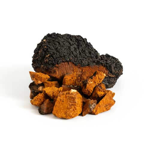 Chaga-Small