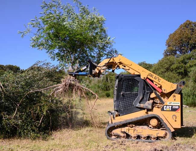 Small Tree Puller