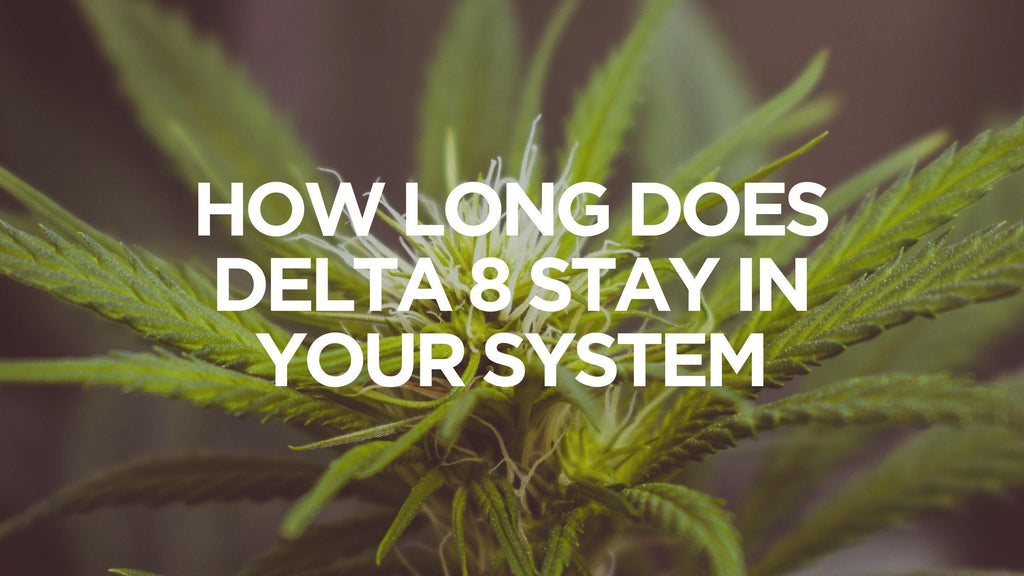 Delta-8 - How Long Does It Stay in Your System? | Fusion CBD