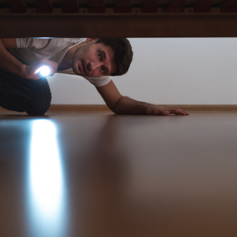 man looking under bed with flash light