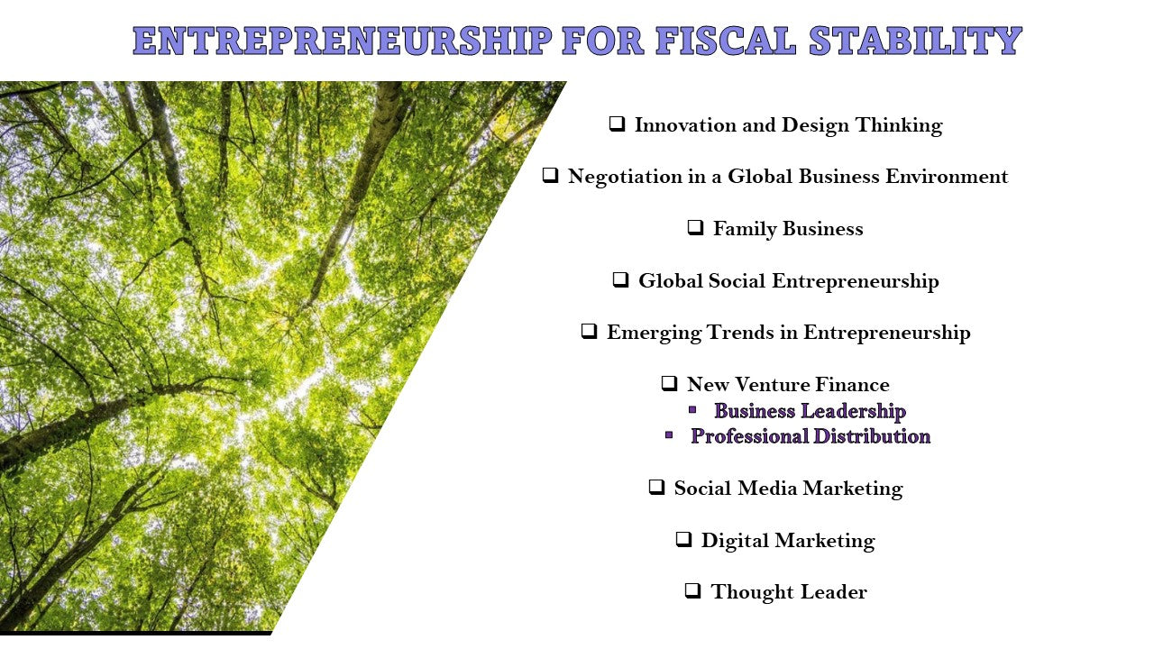 ENTREPRENEURSHIP FOR FISCAL STABILITY