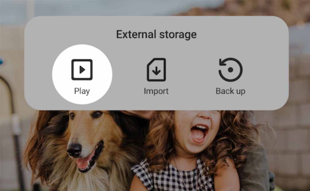 Frameo external storage options showing Play, Import, and Back up functions on a digital photo frame.