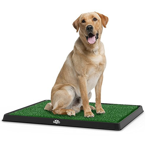 Photo 1 of Artificial Grass Puppy Pad for Dogs and Small Pets – Portable Training Pad with Tray – Dog Housebreaking Supplies by PETMAKER