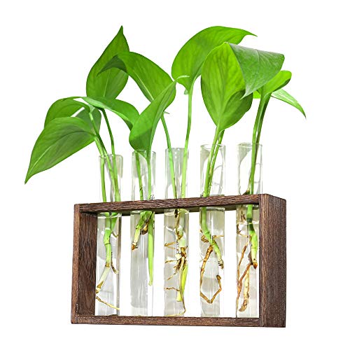 Photo 1 of Ivolador Wall Mounted Hanging Planter Test Tube Flower Bud Vase Tabletop Glass Terrariumin Wooden Stand with 5 Test Tube Perfect for Propagating Hydroponic Plants Home Garden Wedding Decoration