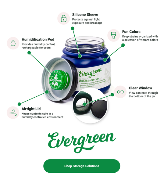 Evergreen Storage Solution benefits