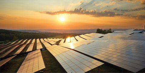 Solar panels used by Solar Cannabis Co