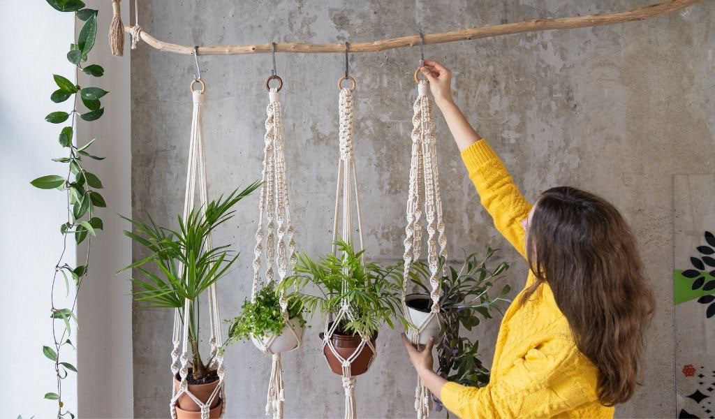 macrame hanging plants