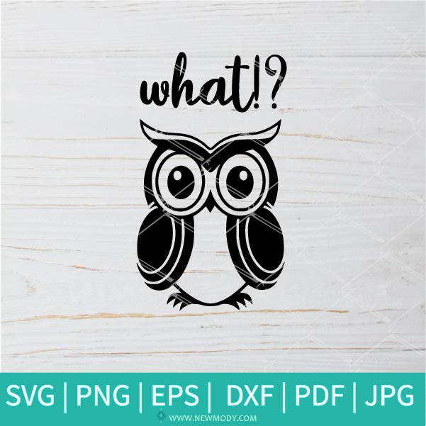 Download What Svg Owl Quote Svg Owl Svg Angry Owl Svg