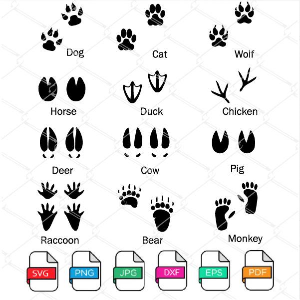 Download Animal Tracks Svg Bundle 12 Different Animal Footprints Svg