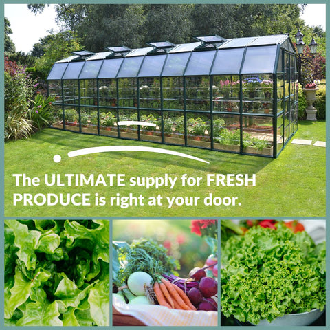 Rion Grand 8' x 20' Gardener 2 Twin Wall Greenhouse (HG7220C) - Magnamaya