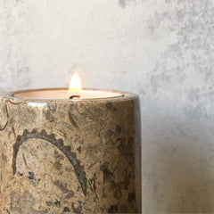 Fossil stone candle holder with a fern wallpaper background