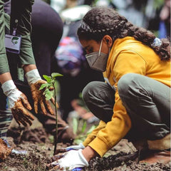 A young girl planting a tree