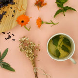 Herbs and flowers with a cup of herbal tea