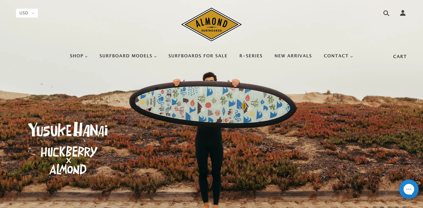 Almond_surfboards 在线商店