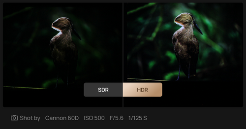 The comparison of contrast ratio between SDR and HDR