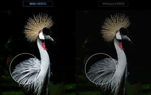 image with HDR10 VS without HDR10