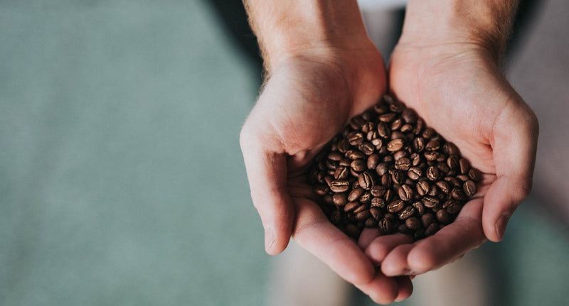 Where Did Coffee Originate? - Victor Allen