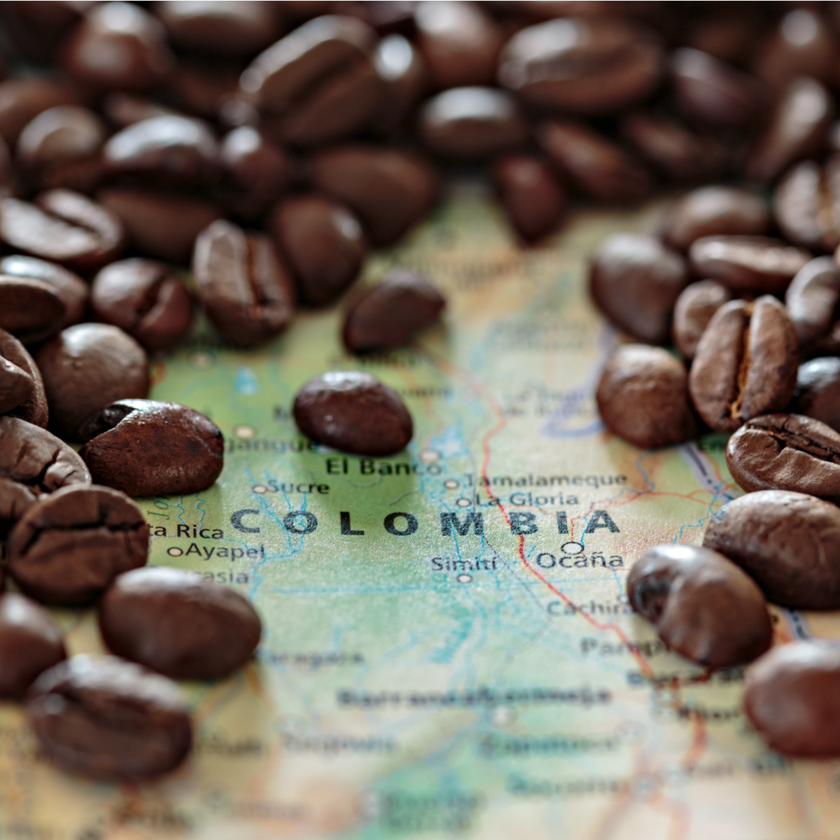 Where Our Coffee Comes From