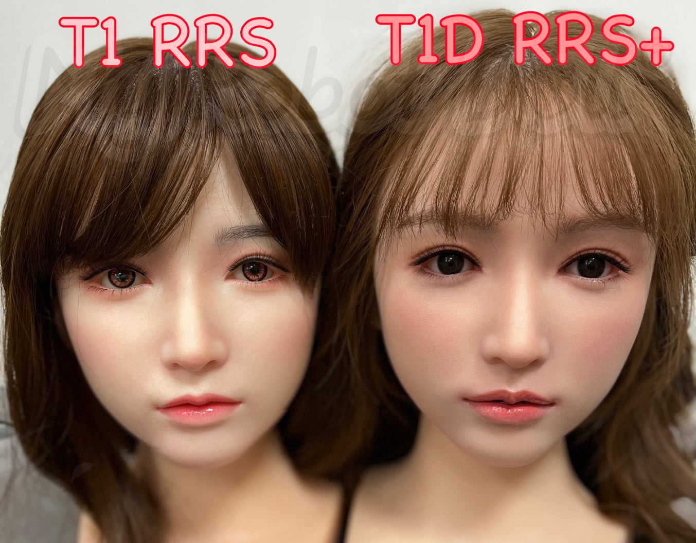 Sino-doll Top-Sino T1 T1D Comparison