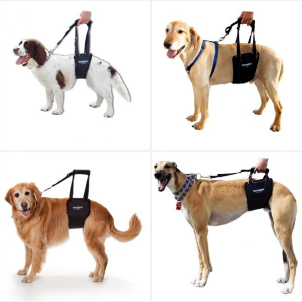 Portable Dog Support Harness and Leash for Small Large Dogs Front