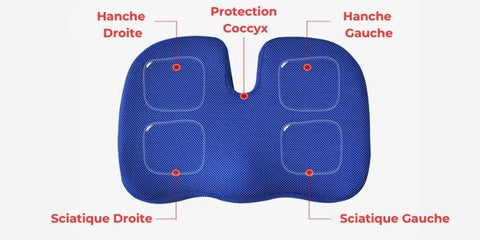 coussin cellsius coccyx