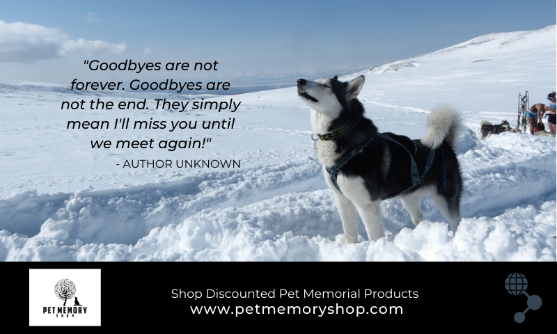 dog loss quotes sayings