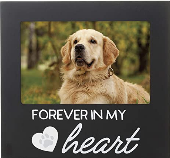 Pet Memorial Picture Frame - When Tomorrow Starts Without Me