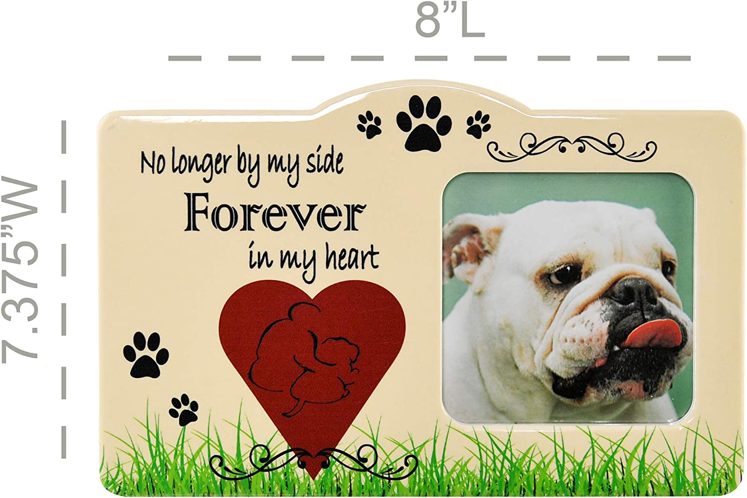 Pet Memorial Picture Frame - When Tomorrow Starts Without Me